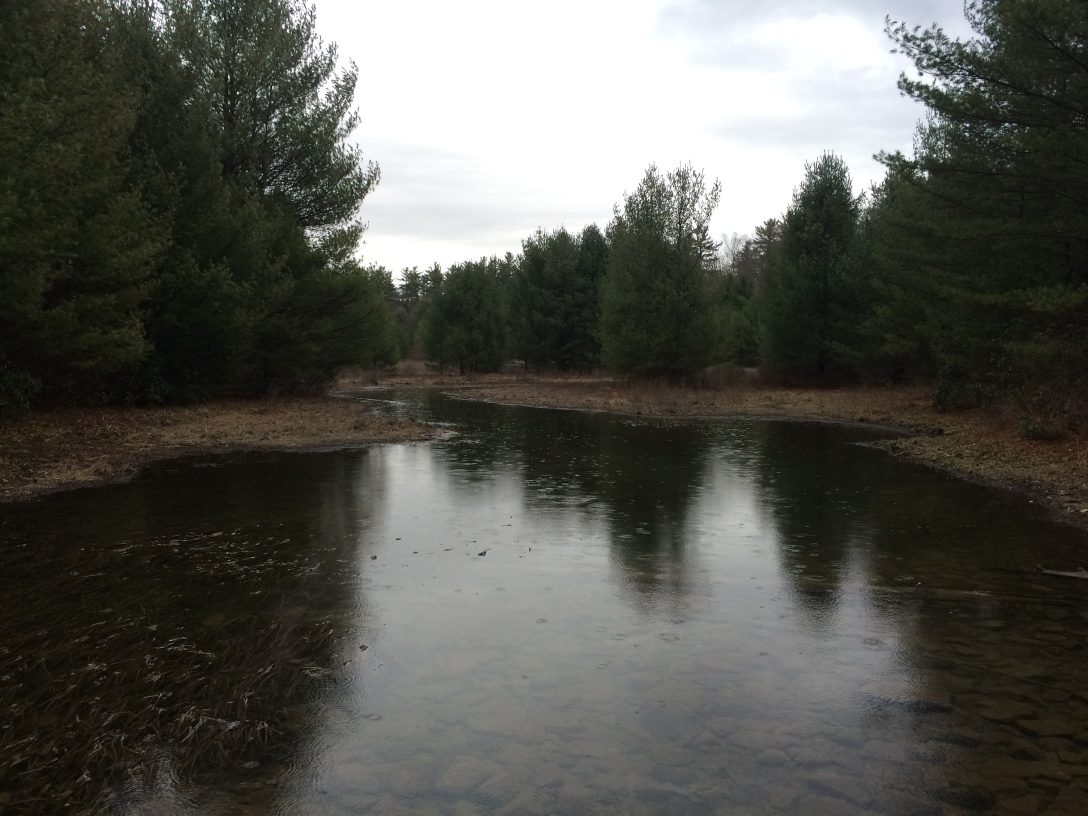 Shaver Creek, South of 7MC