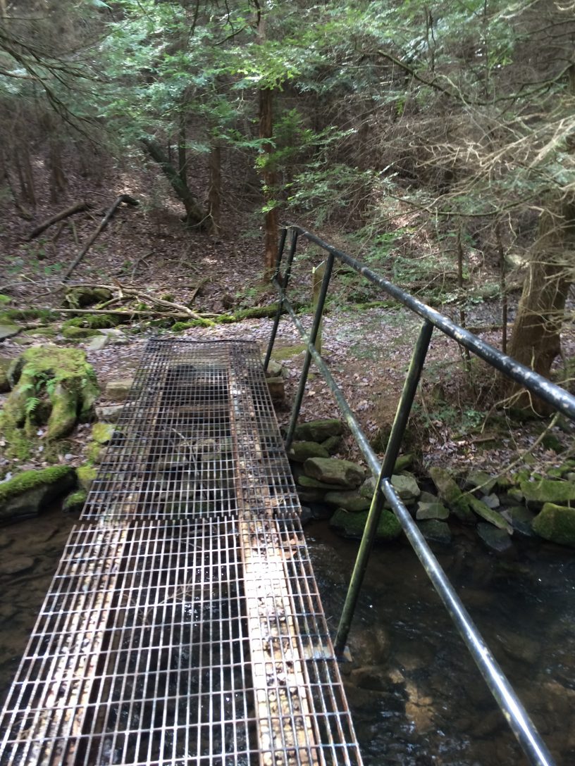 Nature trail on bridge