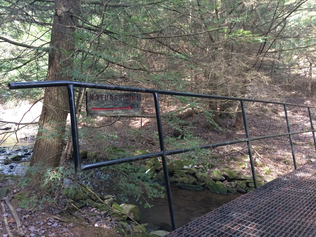 Nature trail bridge