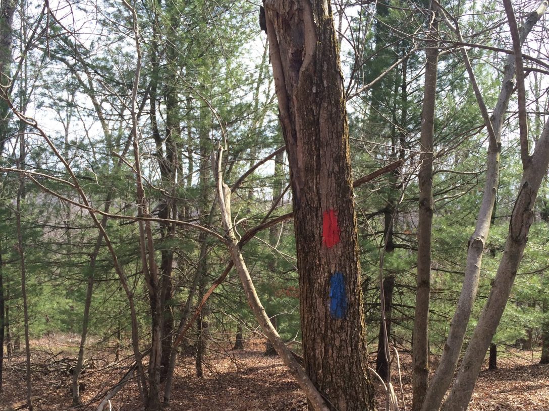 5 mile on-property single track bike trail blaze